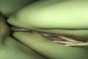 （支持91原创）花式做爱大赛，求通过  背景图片