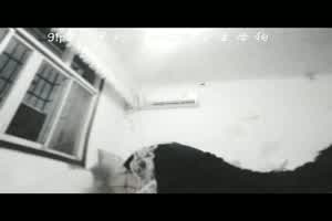 约炮超巨乳量 G奶学生妹 操到眼神涣散直叫老公  背景图片