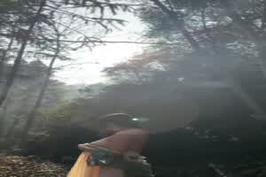 森林露出  背景图片