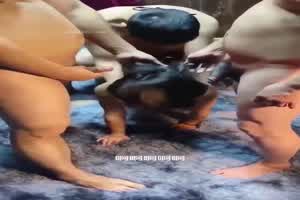 真棒啊这些视角 群炮现场  背景图片