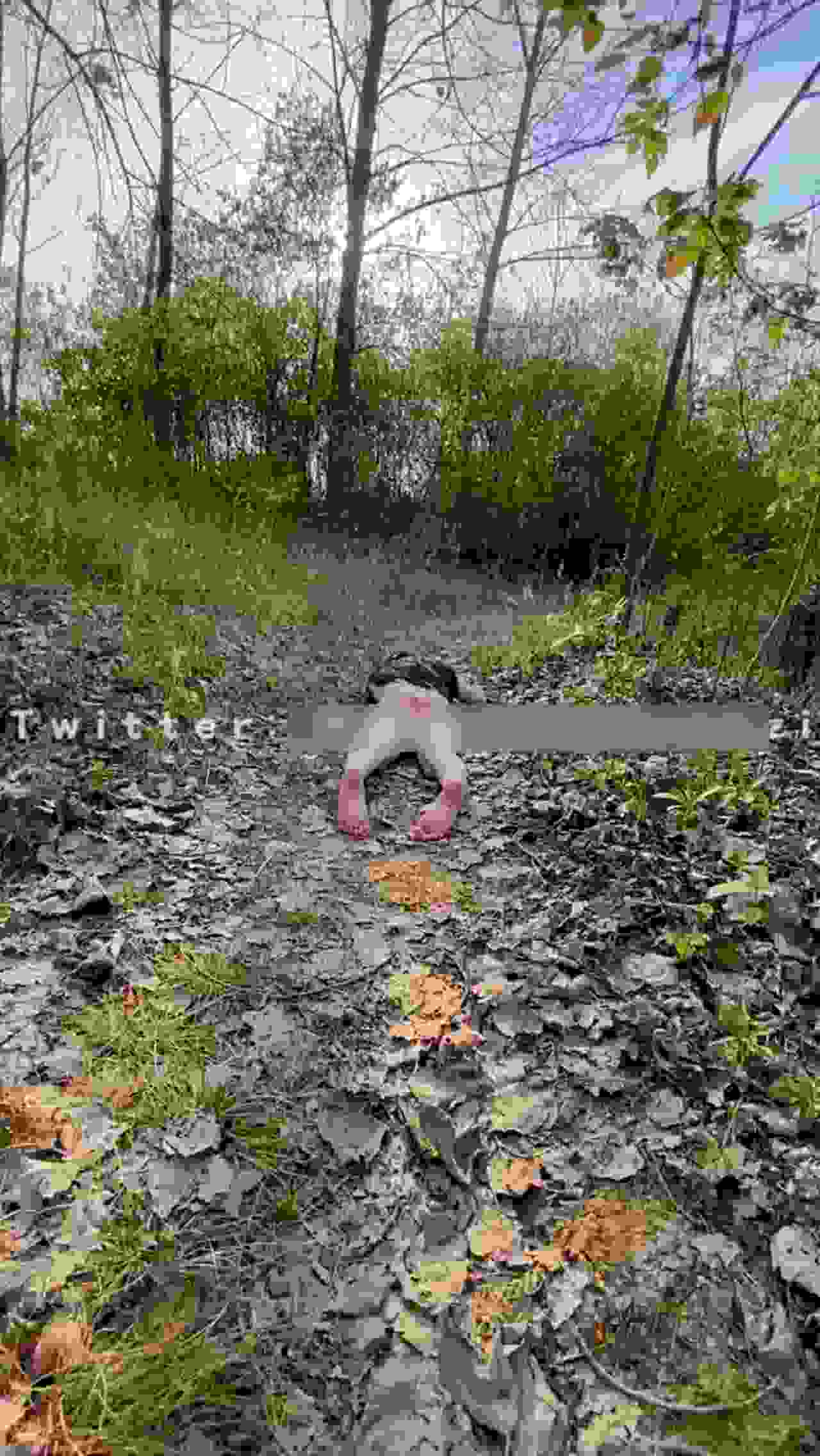  野外的流浪小母狗 的剧照3