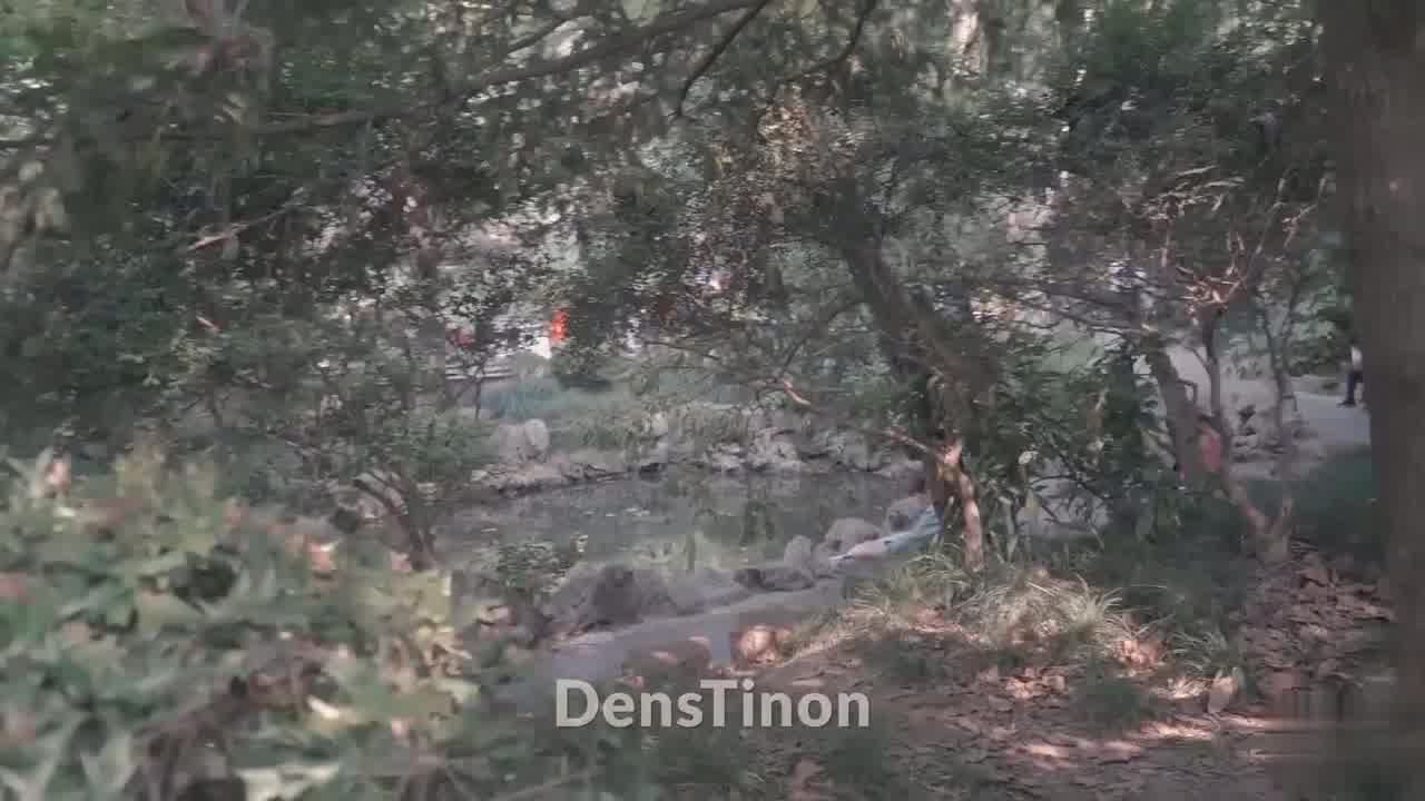  北京天使『XIZI』全裸园林阶梯教室极限露出 的剧照10