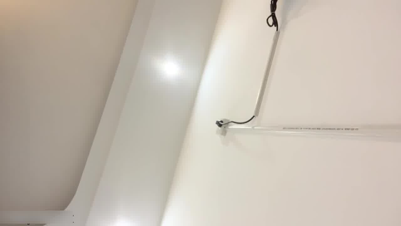  “我是骚母狗 主人操我逼逼”现在妹子都这么骚吗调教小母狗~主动带上项圈~狗链子,无套操逼 的剧照9