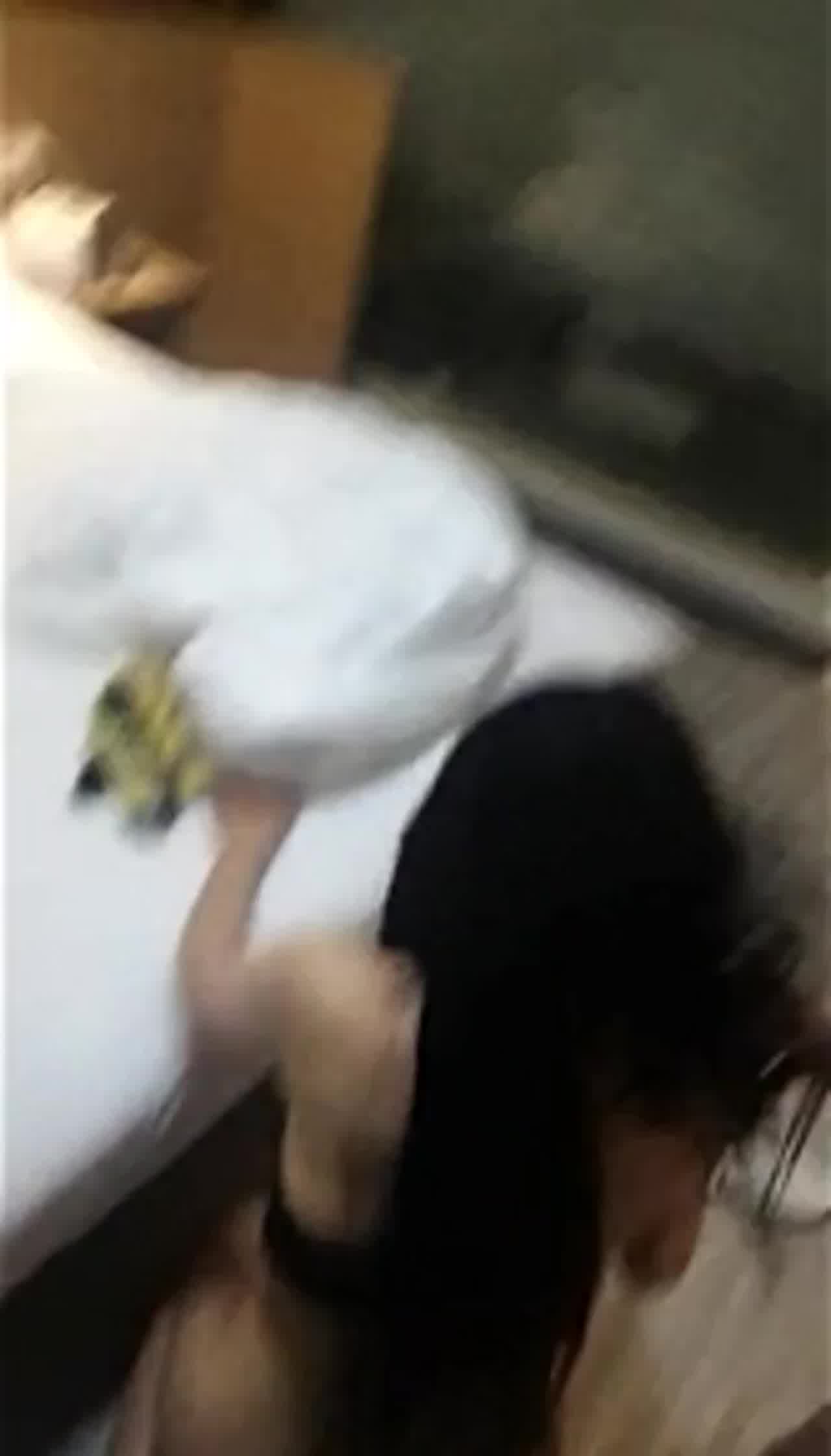  姐夫好威猛，操的我淫叫不停 的剧照9