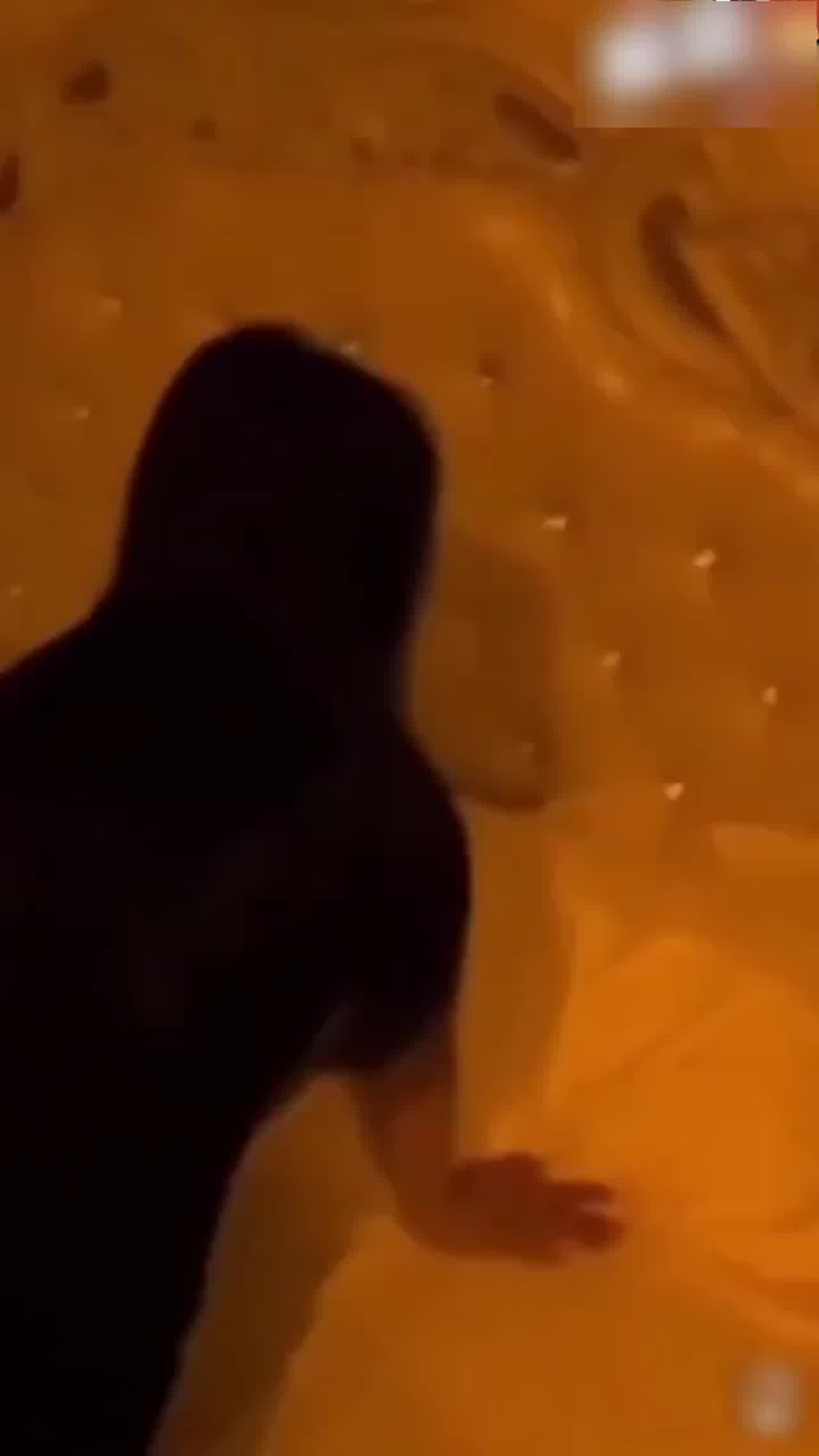  【不堪极品技师大合集】返场女技师 太正了 每个都是青春靓丽 的剧照1