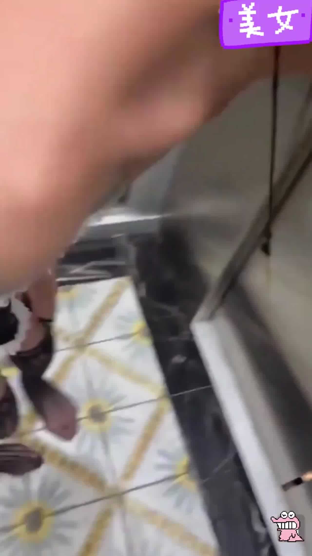  电梯露出调教小太妹!“呜呜~我要回家 的剧照8