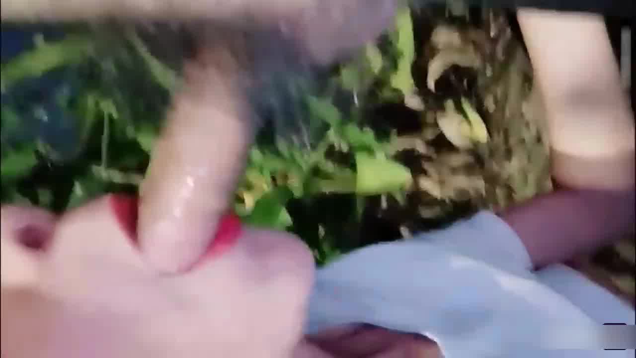  【真实路边勾引】小哥哥你裤子鼓起来了！女主在直播小哥还不相信说：直播你会漏奶子？以为是鸡问多少钱一次 的剧照2