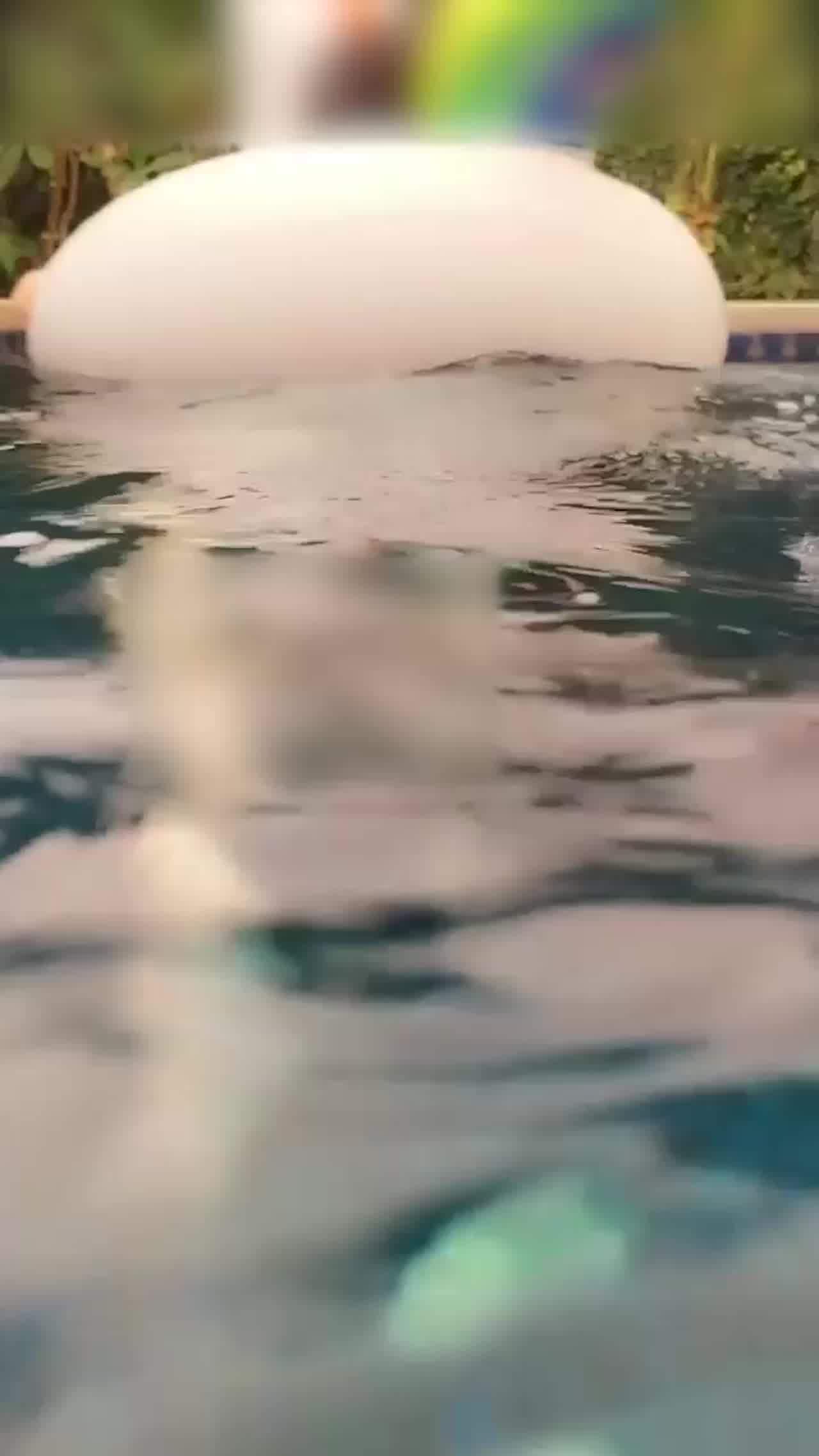  一线天小罗莉 的剧照2