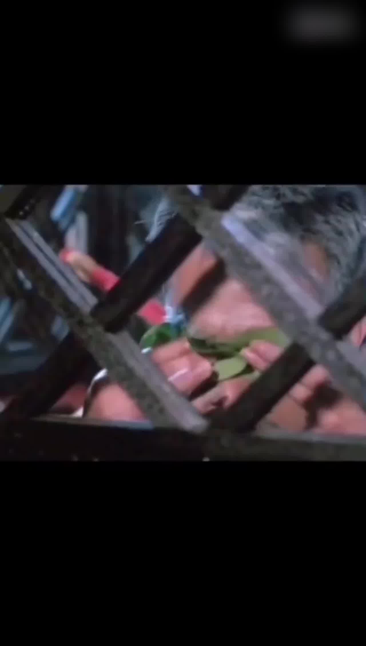  别害怕！眼神放亮一点 错过就没了喔 的剧照2